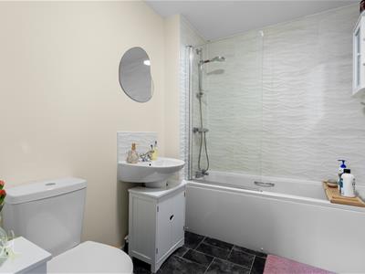 Picture 16